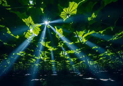 Imagen PNG para descargar